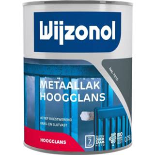 👉 Metaallak active Wijzonol Hoogglans - 9325 Woudgroen 0,75L 8712952068770