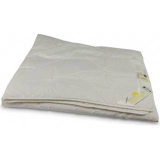 👉 Texelana Dekbed Excellent Zomer 200 x 200 cm