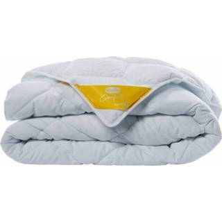 👉 Silvana Royale Warm Geel 260 x 220 cm