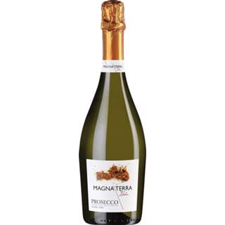 👉 Prosecco treviso Bosio Magna Terra DOC Spumante