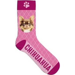 Sokken roze polyester pakket hond Plenty gifts chihuahua 33-38 8717127434923