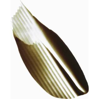 👉 Vrouwen Kérastase Chroma Absolu Masque Vert Neutralisant 150ml 3474637059095