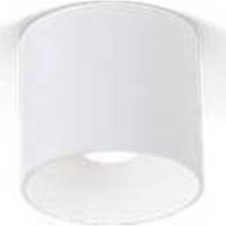 👉 Plafond lamp wit zwart donkergrijs Wever & Ducre - Ray 1.0 LED Plafondlamp Buitenlamp 6095816839863