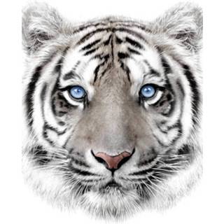👉 Fleeceplaid witte antraciet Animal Pictures tijger - 120 x 150 cm 8592753024959