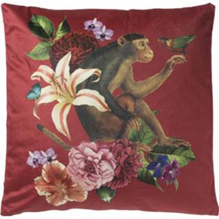 👉 Sierkussen rood polyester wonderlijke aap - 45x45 cm 8716963166289