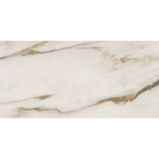 👉 Beste Koop Signoria tegel 60x120cm - Calacatta Venna Oro