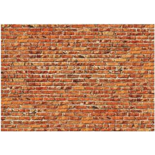 Fotobehang - Stenen muur Fotobehang - Stenen muur, in 5 maten, te koop, voor woonkamer en slaapkamer, geen behangtafel nodig, instructies bijgevoegd