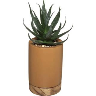 Kunst plant active bruin Atmosphera kunstplant vetplant in pot van cement 20 cm