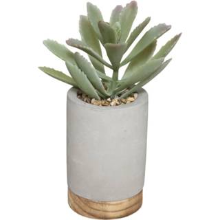 👉 Vetplant active grijs Atmosphera kunstplant in pot van cement 20 cm