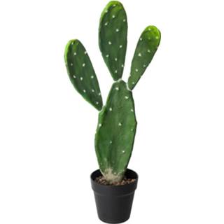 👉 Kunst plant kunststof active Atmosphera cactus kunstplant in pot 60 cm