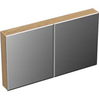 👉 Spiegelkast Forzalaqua Uni 120x68.5x12.5 Cm 2 Deuren Tweezijdig Spiegel Eiken Silver Grey