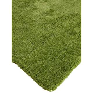 👉 Vloerkleed Dani Webschatz Groen