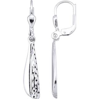 👉 Oorhanger zilverkleur zilver vrouwen Oorhangers van 4055714460523