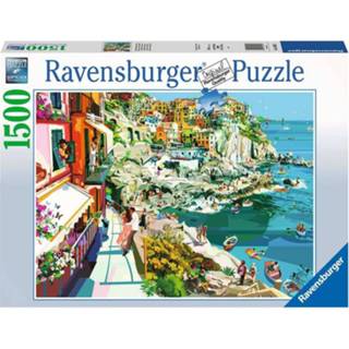 👉 Puzzel legpuzzels Romantiek in Cinque Terre (1500 stukjes) 4005556169535