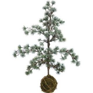 👉 Kerstboom Lolaa met mos kluit 60cm 6090524536547