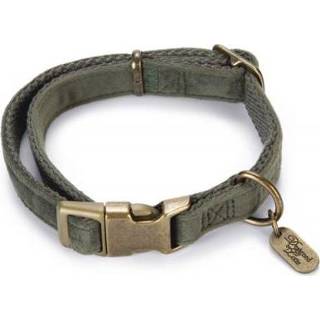 👉 Halsband groen medium DbL Velura - 26-40 CM X 15 MM 26 40 8712695177302