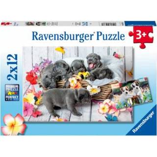 👉 Puzzel meisjes Ravensburger 2x12 stukjes - Kleine haarballen 4005556056361