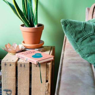 👉 Boek groot klein Spreuken - is Een ode aan de kracht van eenvoud 9789090361284