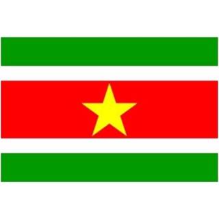 👉 Vlag Multipak van 2x stuks Suriname mini formaat 60 x 90 cm