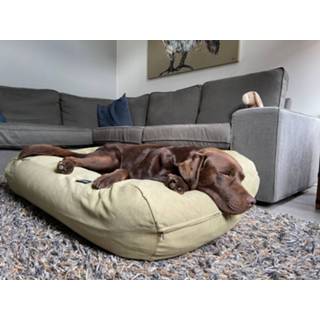 👉 Hondenbed Dog's Companion® Moss Velvet