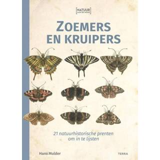 Zoemer Natuur aan de muur - Zoemers en kruipers Hans Mulder (ISBN: 9789089899262) 9789089899262