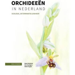 👉 Orchidee Orchideeën in Nederland - Eric Hartgers, Mark Engels, Meijrink (ISBN: 9789050118972) 9789050118972