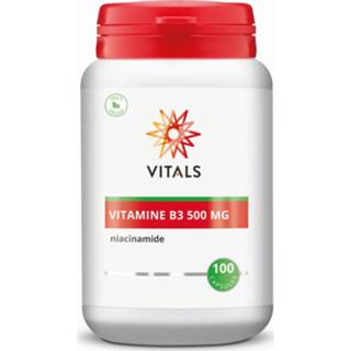 👉 Vitamine B3 niacinamide 500 mg 8716717002160