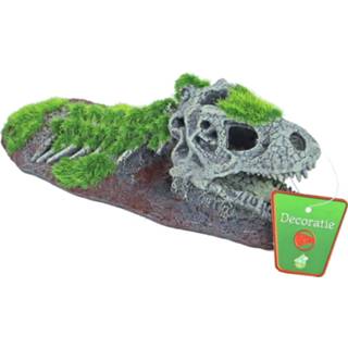 👉 Ornament Dinosaurus Skelet 21x9cm 8712901079277