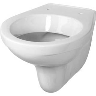 👉 Hangend toilet wit toiletpot e-con Geberit diepspoel,