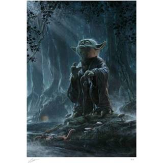 👉 Star Wars Fine Art Print Yoda: Luminous Beings 46 x 61 cm 747720260535