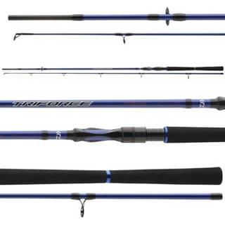 👉 Daiwa Triforce TS - 2.40m 30-70g Pike Snoekhengel 4059845161038