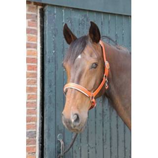 👉 Leren halster MHS 