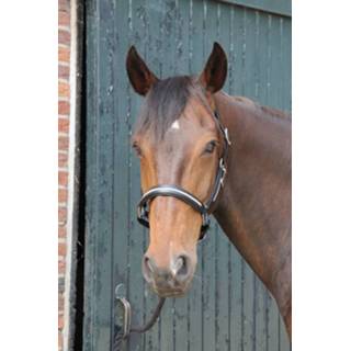 👉 Leren halster MHS 