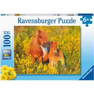 Ravensburger Puzzel XXL 100 stukjes - Shetland pony's meisjes Puzzel meisjes Ravensburger XXL 100 stukjes - Shetland pony's 4005556132836