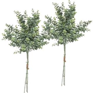 👉 Kunstplant groen Atmosphera 2 boeketten eucalyptus 64 cm