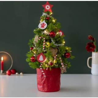 👉 Kerstboom rood active Jingle Red