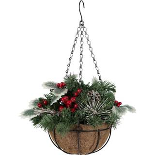 👉 Hangplant IGEA Naturel