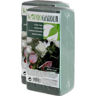 👉 Steekschuim groen 2x stuks steekschuim/oase nat rechthoekig 20 x 10 7 cm