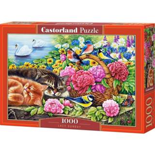 Puzzel DierenBloemen legpuzzels Lazy Sunday (1000 stukjes) 5904438104765