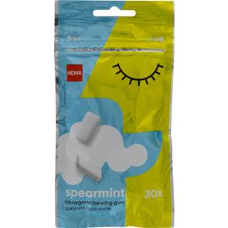 Kauwgom unisex Suikervrije Spearmint - 30 Stuks 8720354232330