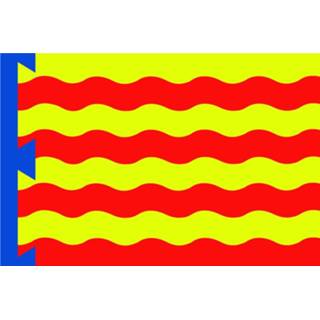 👉 Vlag active Nederhorst den Berg 40x60cm 8720862406896