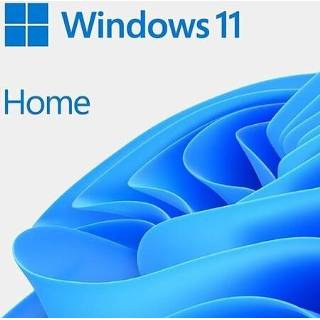 👉 Microsoft Legitieme Windows 11 Home 64-bit ESD - Retail 889842965476