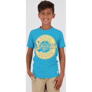 👉 Shirt male Arctic Blue T-Shirt Josh 8720386820895