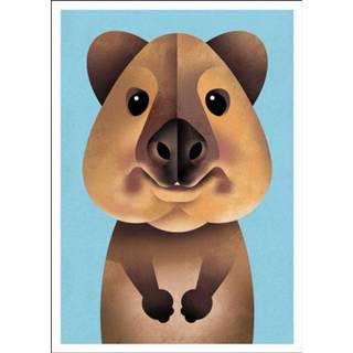 👉 Ansichtkaart Dieter Braun Quokka