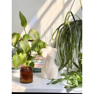 👉 Diffuser crème Bitten Aphrodite Home Oil met 40ml olie + 5 sticks 4897038627615