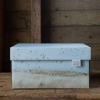 👉 Licht blauw alle leeftijden rechthoek design Dutch Storage Box Texel Dunes 9789493310094