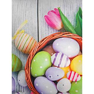 👉 Set van 2 kussenhoezen Emma Webschatz Multicolor