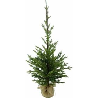 👉 Kerstboom Deco H150cm 8719319029009