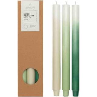 👉 Kaars meadow Original Home - Lange 'Gradient Meadow' set van 3