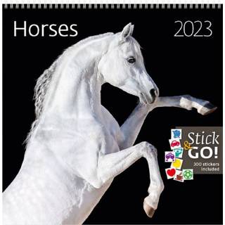 👉 Kalender active 2023 helma 365 30x30cm paarden 8595230694041